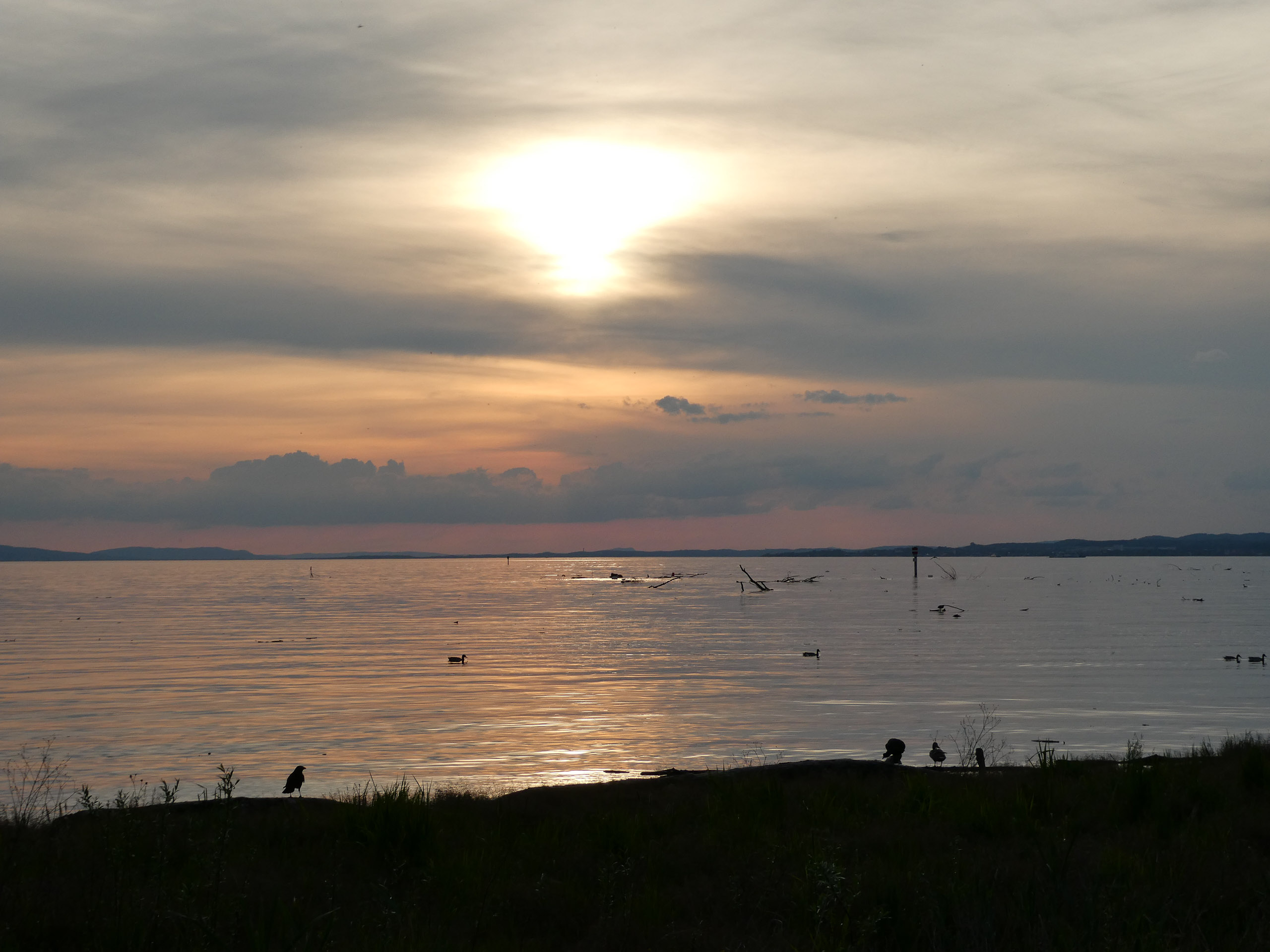 20230506200440 P1000193